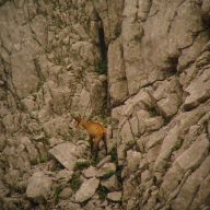 Regina-F-Rau_2013-08-15_Frohkostgipfel  (125).JPG